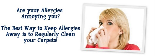 Carpet Cleaning Menlo Park, CA